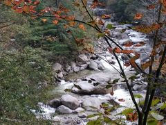 -青峰峡国家森林公园