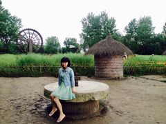 -溱湖国家湿地公园