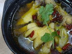 椒麻鸡-百家鸡味馆(清泰店)