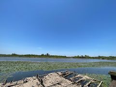 -上海海湾国家森林公园