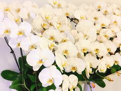 -中国数码港大厦