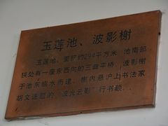 -汇龙潭
