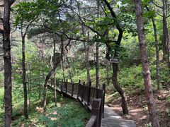 -北京十三陵国家森林公园蟒山景区