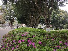 -厦门大学(思明校区)