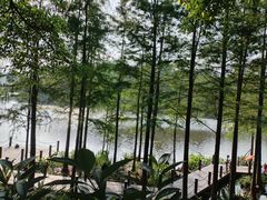-重庆彩云湖湿地公园