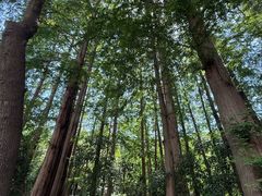 -达蓬山旅游度假区