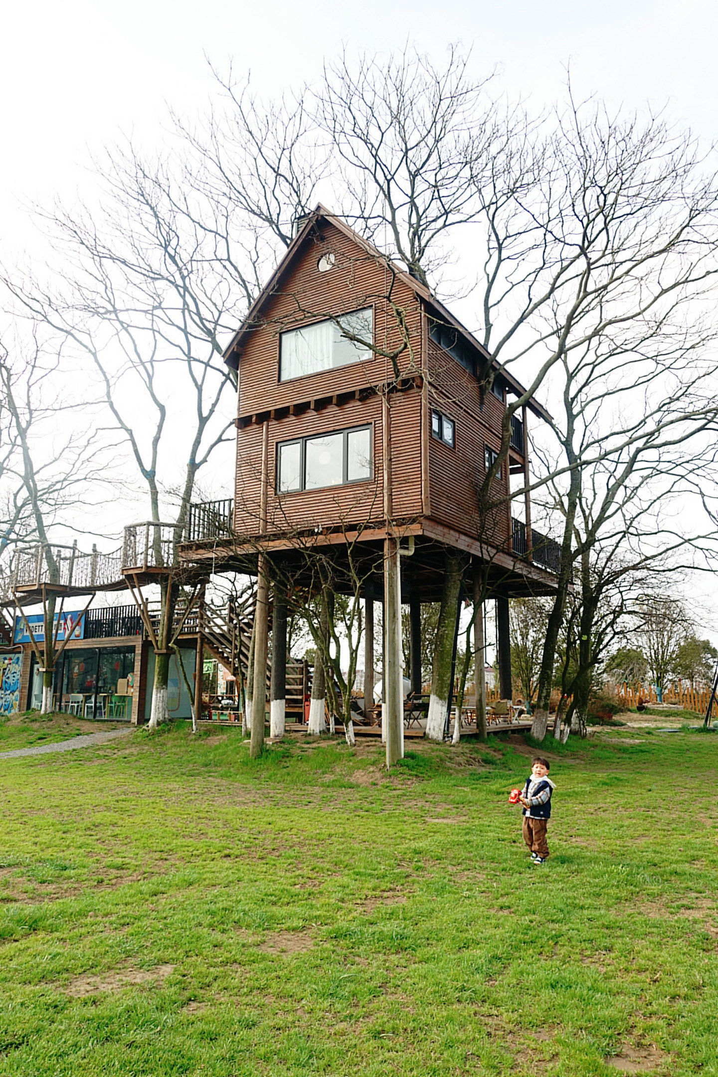 朋友圈被问爆的北欧树屋 就在上海