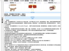 -全心全意动物诊疗中心医院(北苑店)