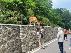 -大连森林动物园