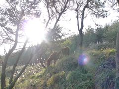 -松岳山