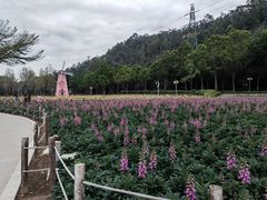 -顺峰山公园