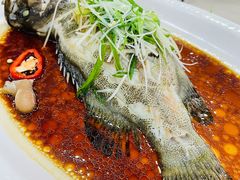清蒸石斑-广胜通达海鲜食府(黄沙店)