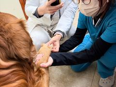 -美联众合动物医院·24h转诊中心