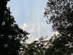 -广州市白云山风景名胜区