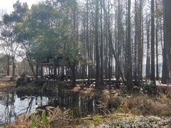 -东湖落雁景区