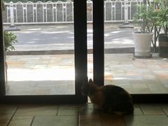 -隅cafe(傅厚岗店)