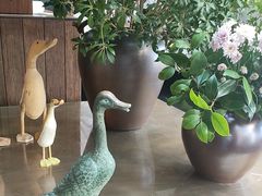 -晟永興烤鸭店(五道口店)
