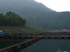 -徐记海鲜·宴会(大唐西市|丰庆店)