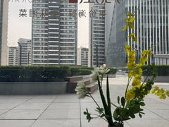 -凤凰湘语(浦东旗舰店)
