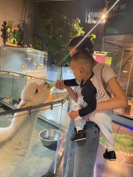 -未来动物城主题公园(正弘城店)