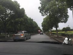 -胜华驾校·小猫学车(银都店)