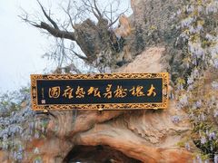 -大槐树寻根祭祖园