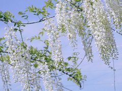 -南通洲际绿博园