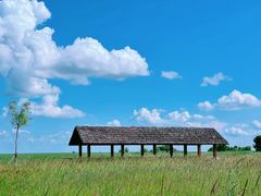 -黑龙江扎龙生态旅游区
