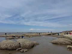 -辽宁团山国家级海洋公园