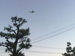 -龙头岩(Dragon Head Rock)