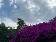 -成都动物园