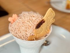 樱花杯-猫里有甜
