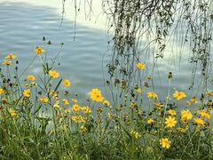 -金银湖国家城市湿地公园