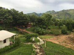 -大树秋千