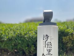 -诗经里