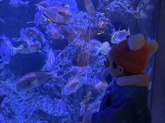 -成都浩海立方海洋公园