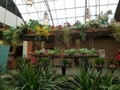 -百丈园(陈村店)