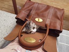 -屋虎猫馆(宝安大仟里店)