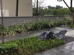 -张坝桂圆林公园