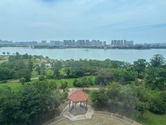 -九龙湖公园