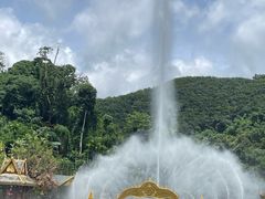 -西双版纳原始森林公园