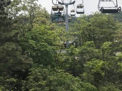 -富斯特索道