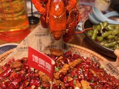 -馋嘴猫北京食堂·烤鸭·宵夜(亚运村店)