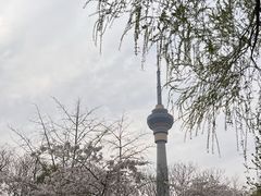 -中央广播电视塔