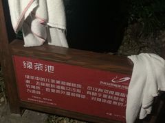 -碧桂园润杨溪谷温泉酒店