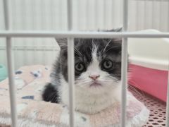 -哈尔滨道外花鸟鱼市场