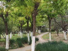 -南翠屏公园