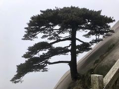 景点-天柱山风景区
