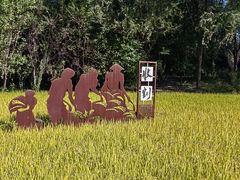 -北坞公园
