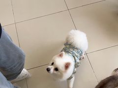 -怪兽屋·羊驼·猫咖·狗咖(俊华广场店)